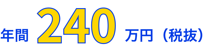 年間税抜240万円
